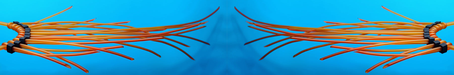 LAST chance up to 50%OFF